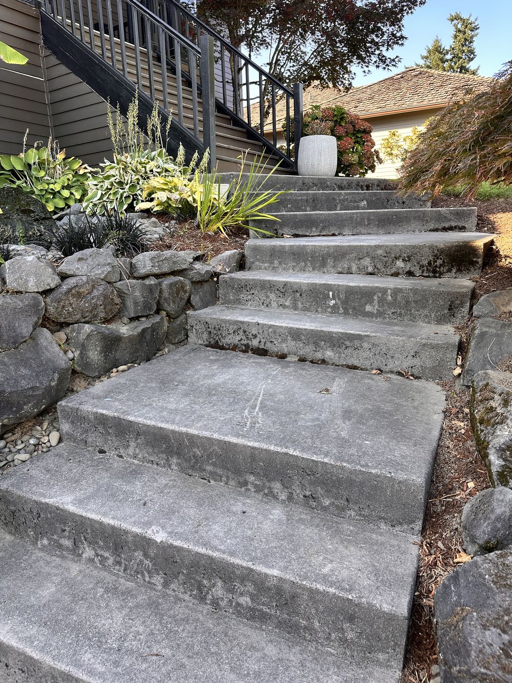 Concrete steps before cleaning — covered in moss and dirt stains